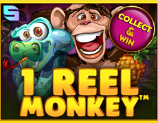 Live Casino image