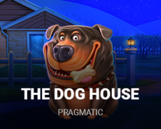 Live Casino image