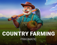 Live Casino image