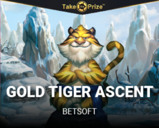 Live Casino image