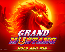 Live Casino image