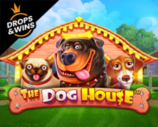 Live Casino image