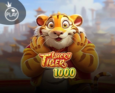 Live Casino image
