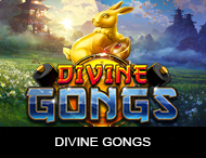 Live Casino image