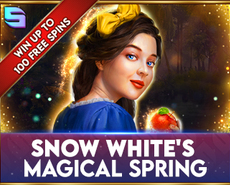 Live Casino image