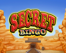 Live Casino image