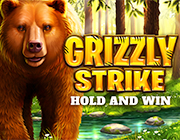 Live Casino image
