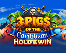 Live Casino image