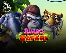 Live Casino image