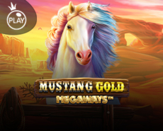 Live Casino image