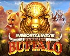 Live Casino image