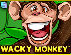 Live Casino image