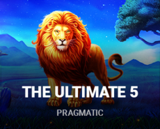 Live Casino image