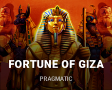 Live Casino image