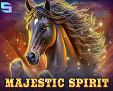 Live Casino image