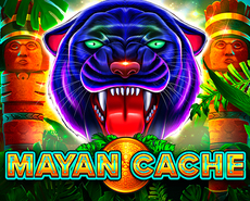Live Casino image