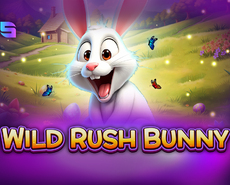 Live Casino image