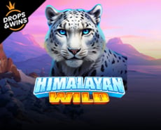 Live Casino image
