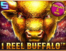 Live Casino image