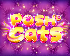Live Casino image