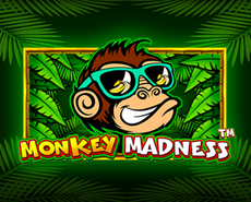 Live Casino image