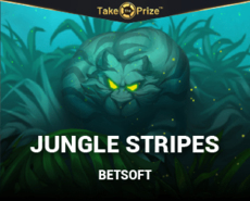 Live Casino image