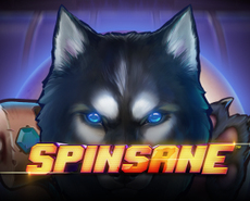 Live Casino image