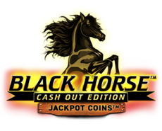 Live Casino image