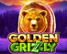 Live Casino image