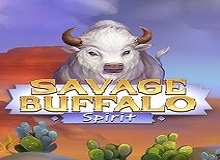 Live Casino image