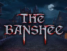 Live Casino image