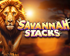 Live Casino image