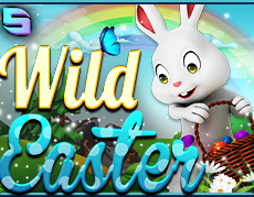 Live Casino image