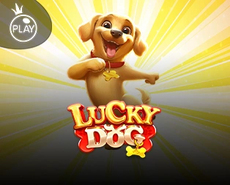 Live Casino image