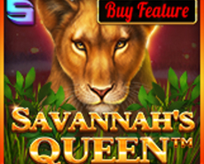 Live Casino image