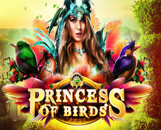 Live Casino image