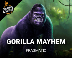 Live Casino image