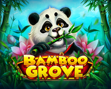 Live Casino image