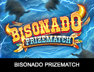 Live Casino image