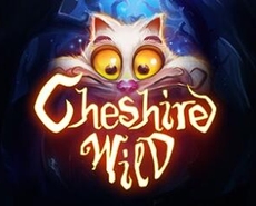 Live Casino image