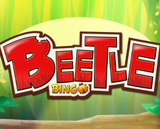Live Casino image