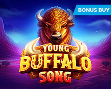 Live Casino image
