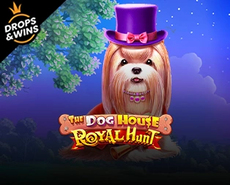 Live Casino image
