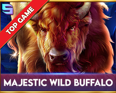 Live Casino image