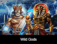 Live Casino image
