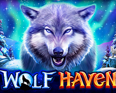 Live Casino image