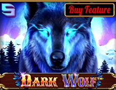 Live Casino image