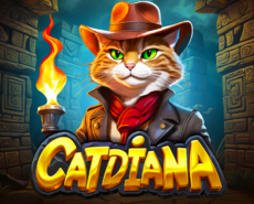 Live Casino image