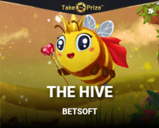 Live Casino image
