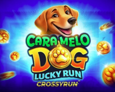 Live Casino image